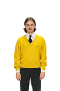 Strickpulli von Lacoste